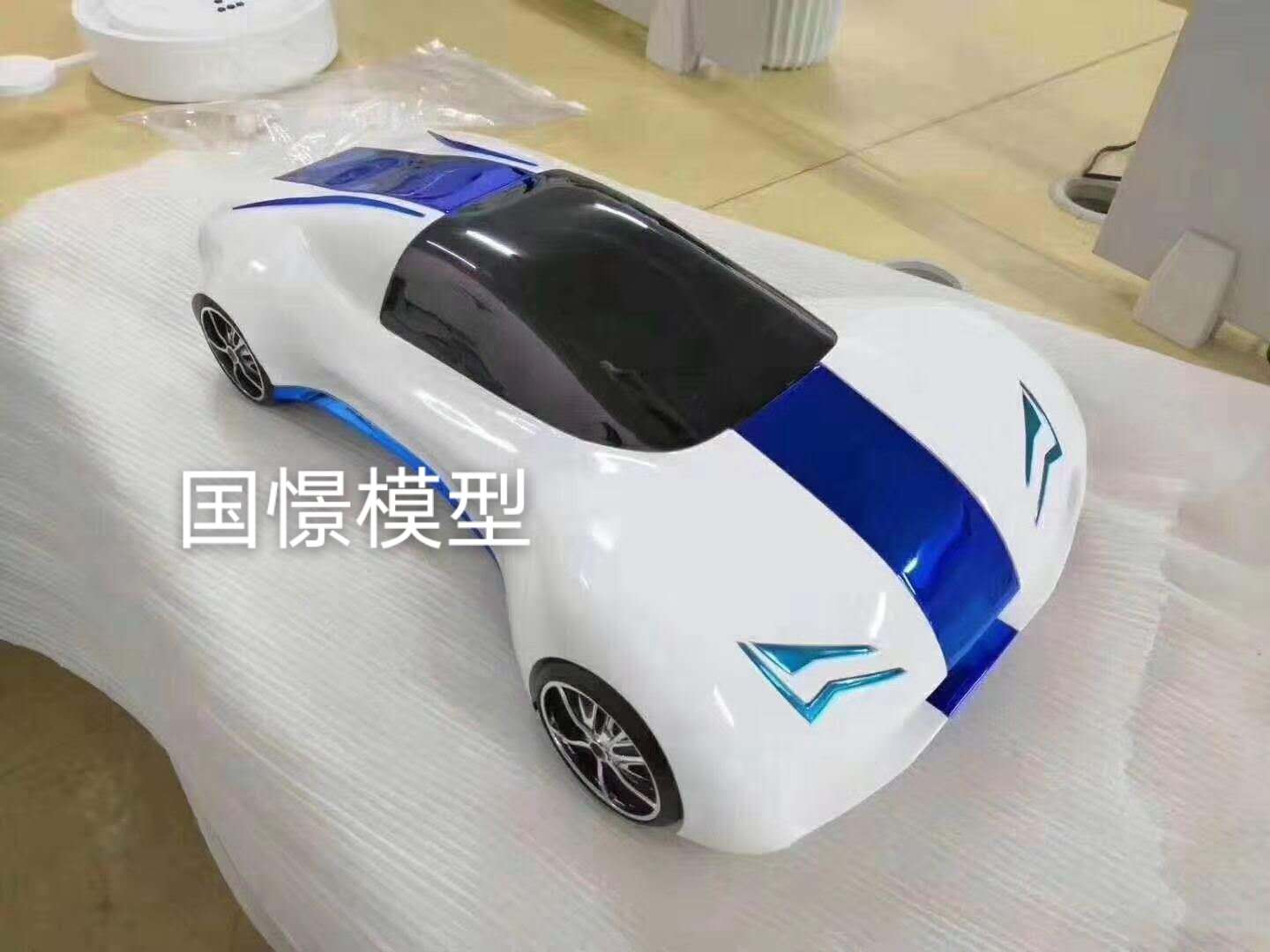 揭阳车辆模型